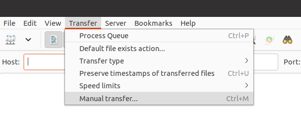 Filezilla manual transfer